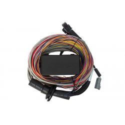 Haltech Elite 750 Premium Universal Wire-in Harness 2.5m (8')