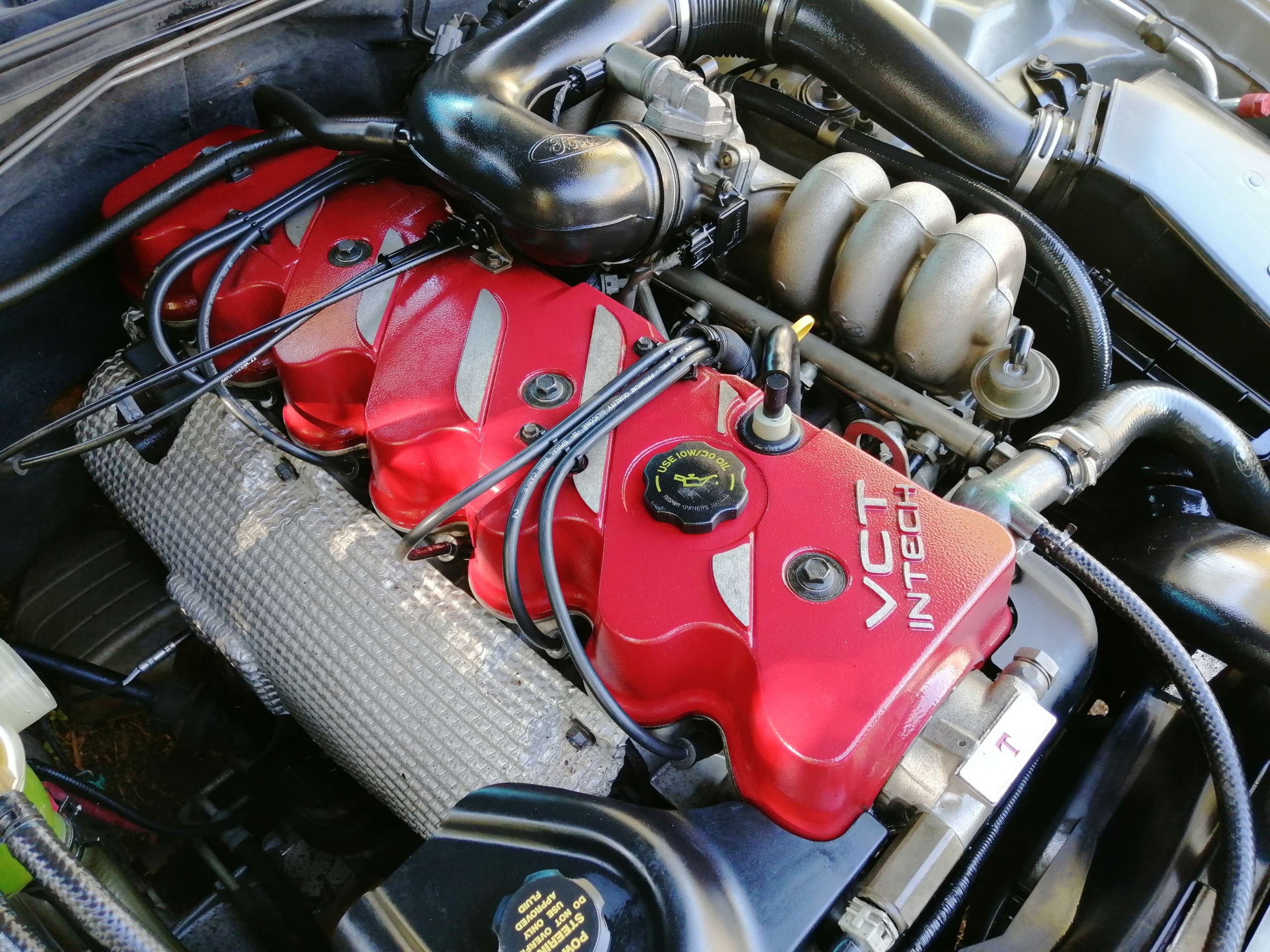 Sean's AU Fairmont Ghia VCT Intech Engine Bay