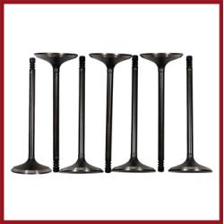 Engine Valves